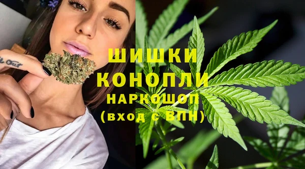 мдпв Бугульма