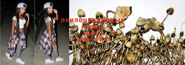 герыч Бородино