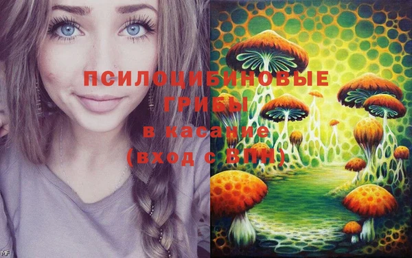 мдпв Бугульма