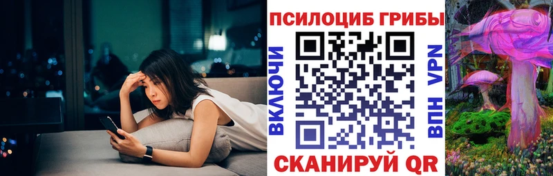 Псилоцибиновые грибы Psilocybe  Купить закладки  Ртищево 