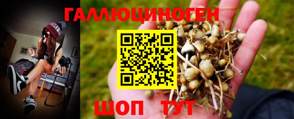 Ртищево  Галлюциногенные грибы Psilocybe  Вход с VPN  Галлюциногенные грибы мухоморы 